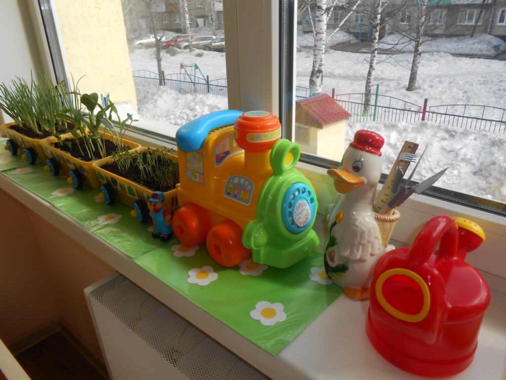 Огород на окне в детском саду (72 фото)